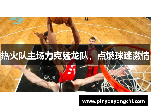 热火队主场力克猛龙队，点燃球迷激情